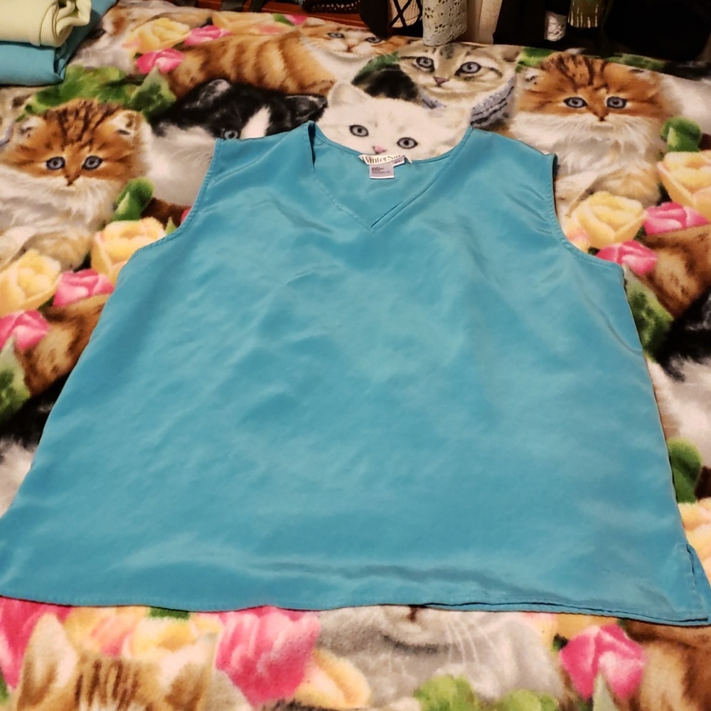 Winter Silks top